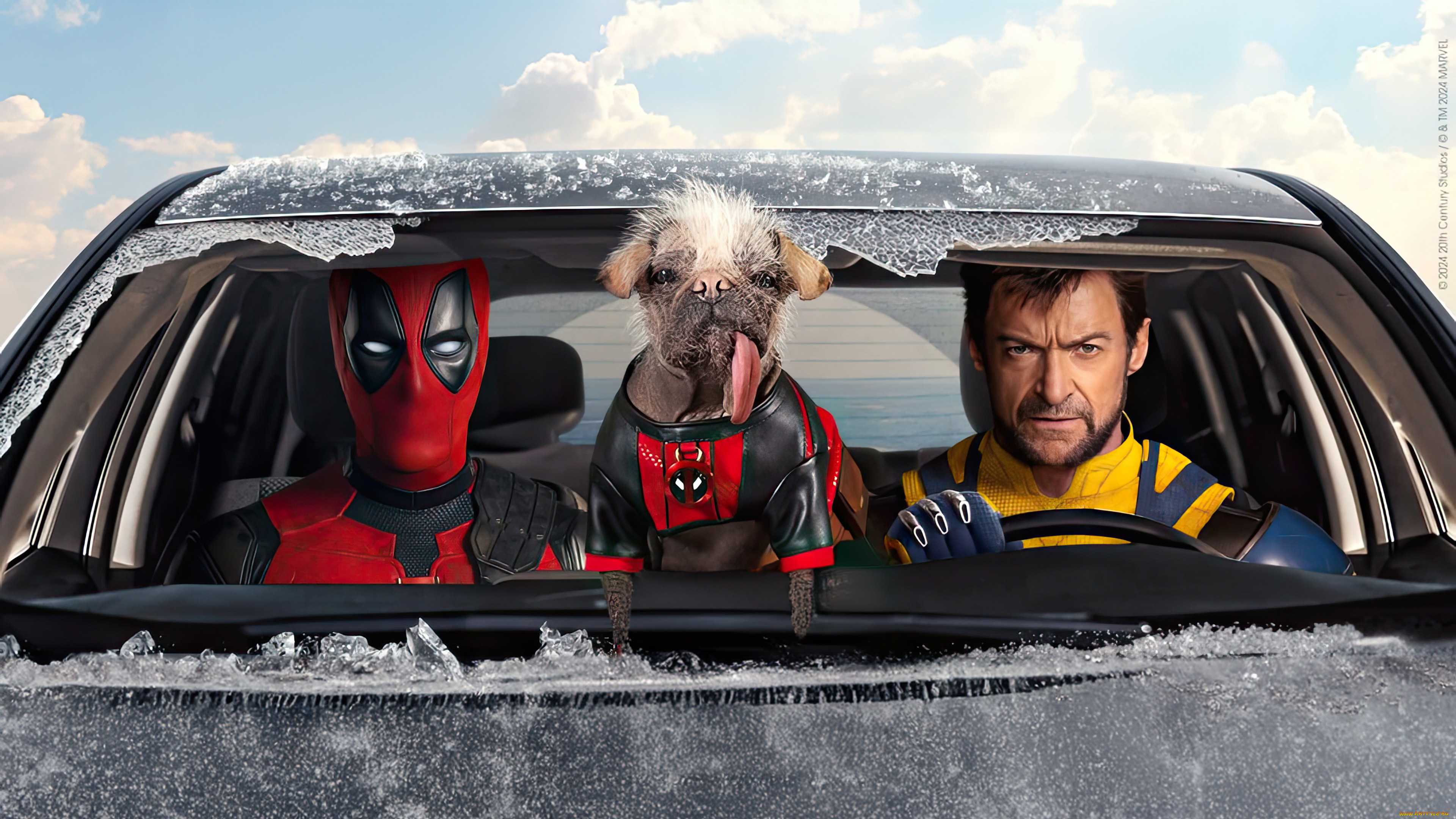 deadpool & wolverine  ,  2024 ,  , deadpool & wolverine, , , , , , , , , , , , , , oe